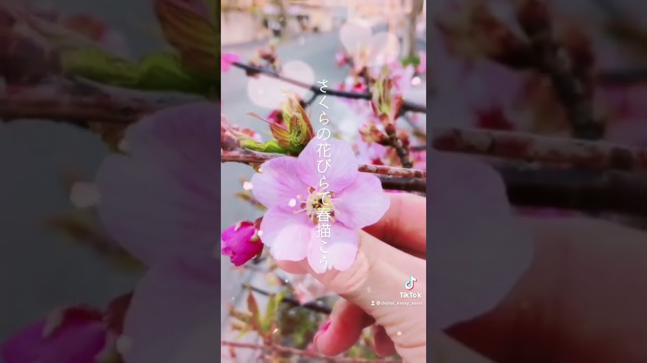 ドバイ ワークショップ さくらの花びらで春を描こう World Art Dubai 22 告知版 Youtube