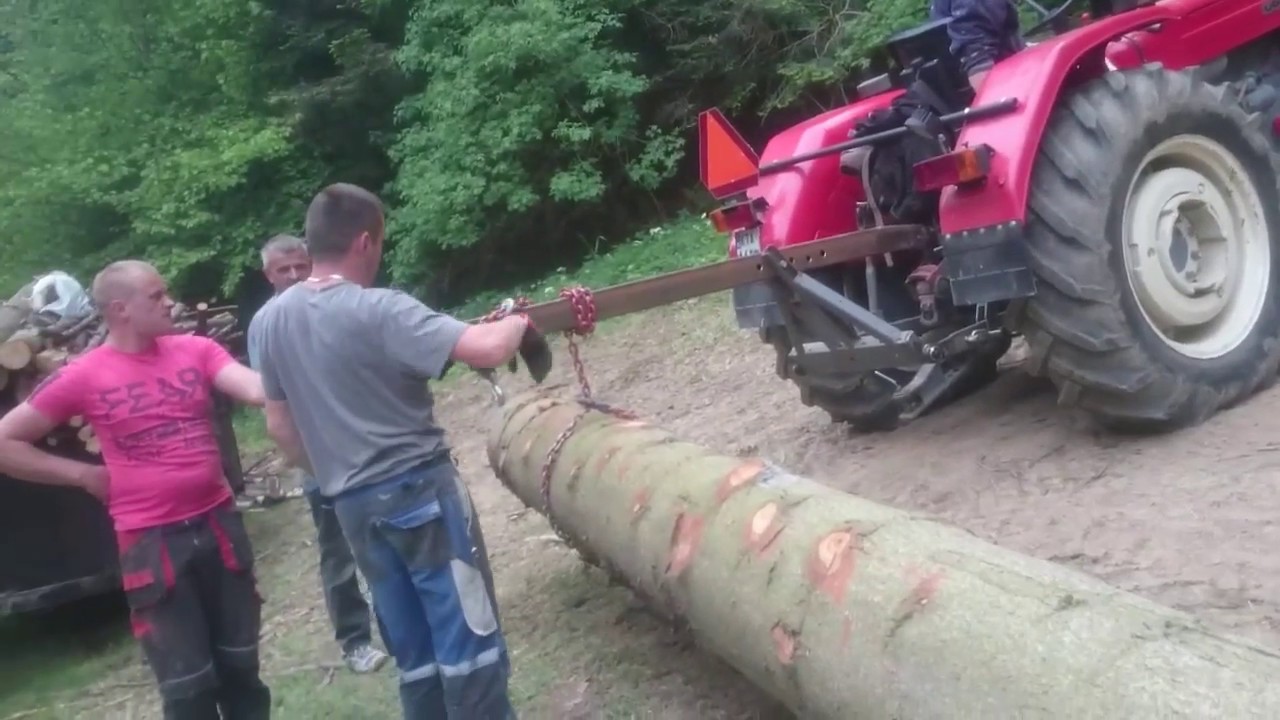 Ursus C360 załadunek grubych jodeł