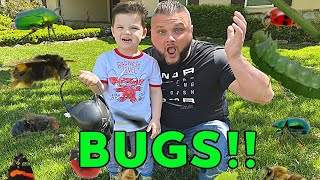 Caleb & Daddy PLAY Bug Hunt and Find REAL BUGS OUTSIDE! Mystery Bug Catching in the Backyard