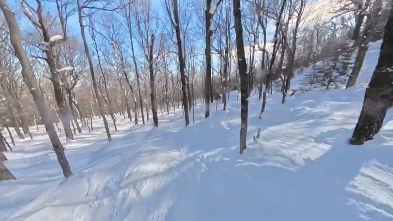 Stowe - Sunrise Glades ☀️