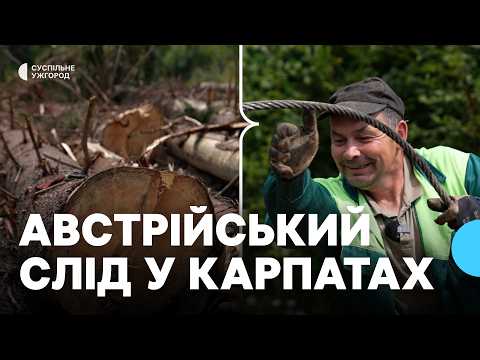 Why did Alpine lumberjacks settle in the Carpathians?