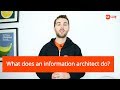 What does an information architect do?