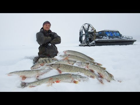 these-pike-were-crazy-rabid-biting-north-records-and-wild-places