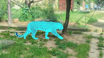 Video Segmentation with Segment Anything Model 2