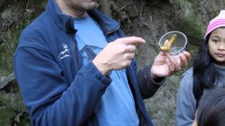 Walden West - Big Brown Bat Kissing his FIRST Banana Slug