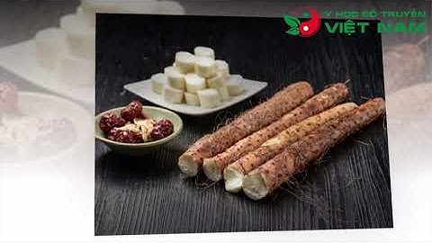 YHCT KHÁM PHÁ TÁC DỤNG LÀM MÁT, BỒI BỔ CƠ THỂ CỦA VỊ THUỐC HOÀI SƠN