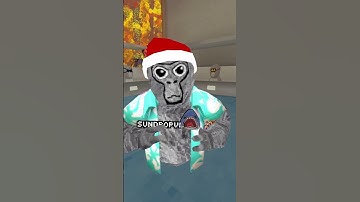 DAY 3 of posting everyday till 20K..  #gorillatag