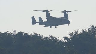 四国でオスプレイ初使用 日米共同訓練、香川に2機