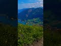 Mountain Overlook 🌄 – Calm Breeze (Sleep Ambience Short)