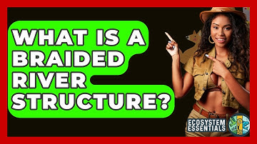 What Is A Braided River Structure? - Ecosystem Essentials