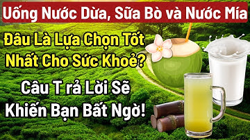 So Sánh Nước Dừa, Sữa Bò và Nước Mía: Đâu Là Lựa Chọn Tốt Nhất Cho Sức Khoẻ? Nguời cao Tuổi