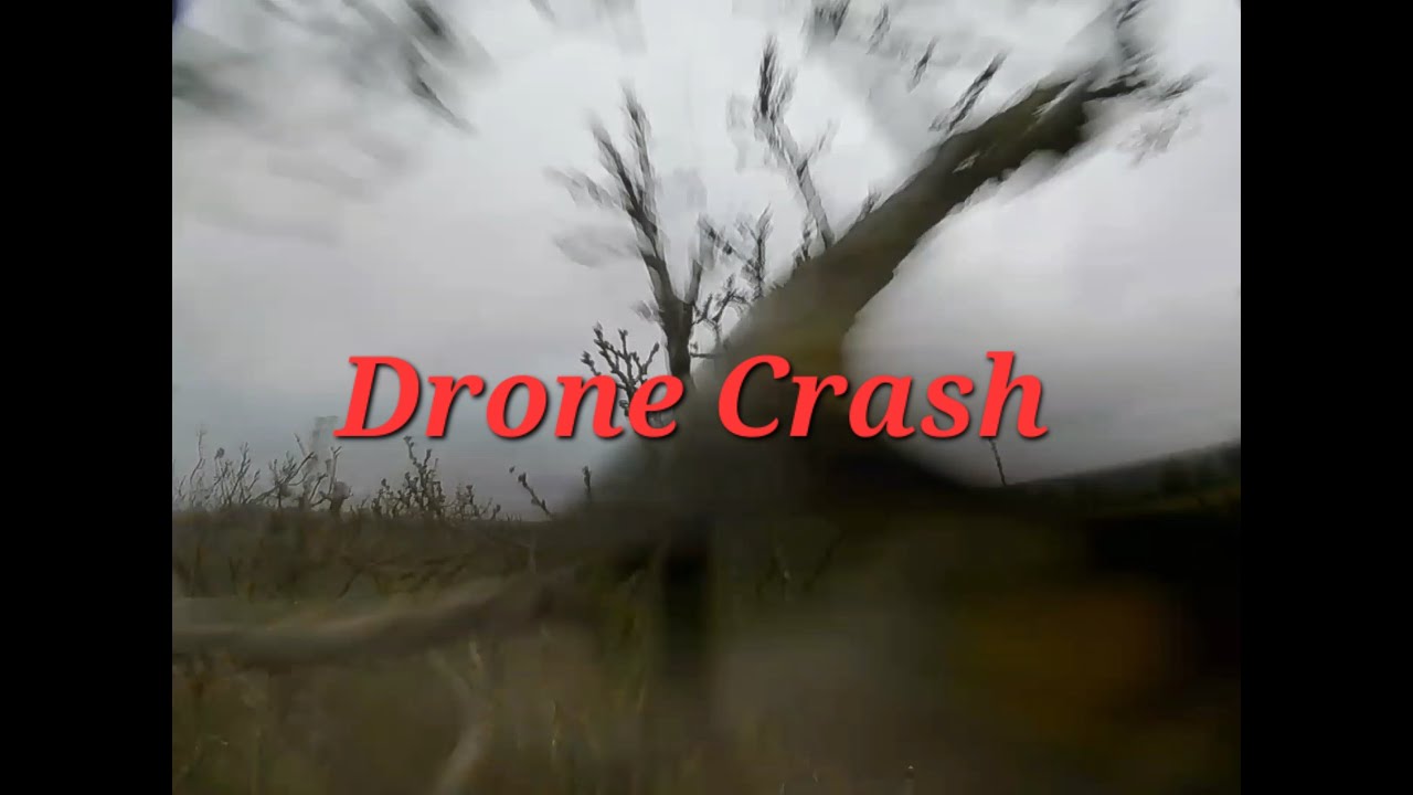 Drone Crash into a tree - YouTube