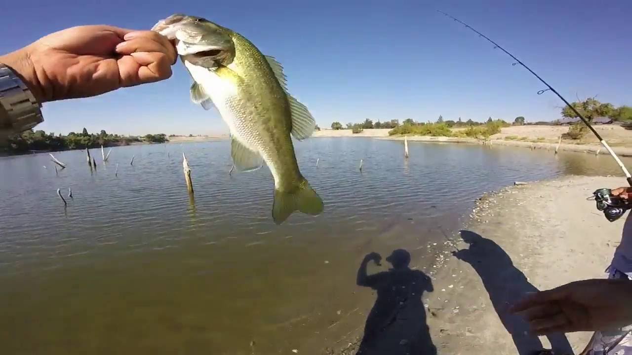 Peck Road Park with a Spinner Bait YouTube
