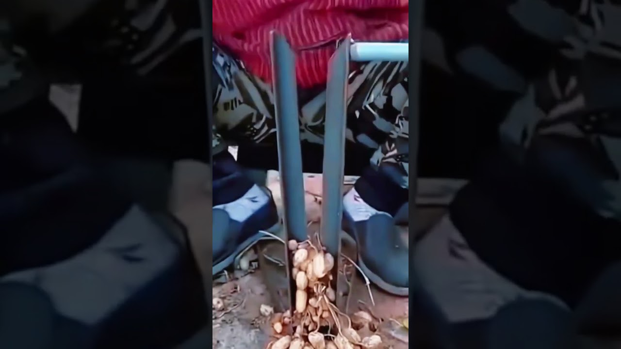 “Smart Farming Hack: Separate Peanuts in Seconds!”- agriculture - farming 