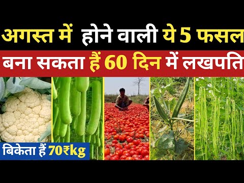 अगस्त में यह फसल मचाएगा धमाल रेट मिलेगा भयंकर 😱🤔 august me konsi sabji lagaye | august ki kheti