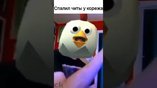 Кореж читер?🤨