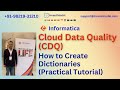 How to Create Dictionaries in Informatica Cloud Data Quality?