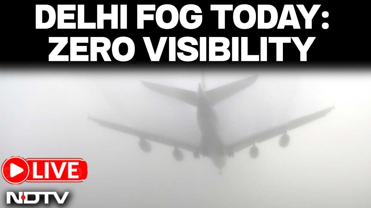 Fog Today News LIVE | Delhi Fog Today | Fog News LIVE | Delhi Weather Today | Fog In Delhi | Fog
