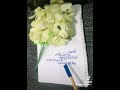 fari calligraphy #subscribe #viralvideo #shortvideo #shortsviral #shortsyoutube