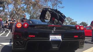 Ferrari Enzo loud startup