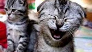 Ютуб приколы на Супер Приколах ! Ютуб приколы на Супер Приколах !