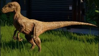 Jurassic World Evolution - All Velociraptor Skins (1080p 60FPS) Resimi