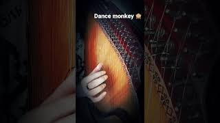 #бандура #cover #music #covermusic #ukraine #dancemonkey