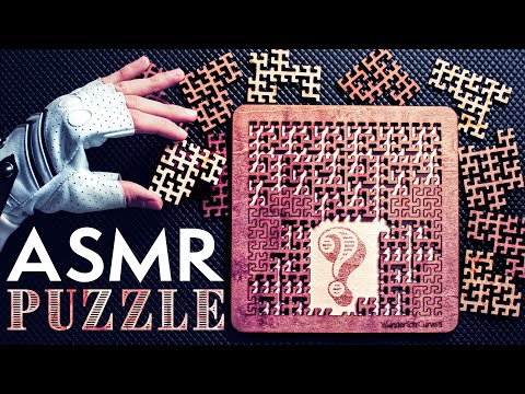 Solving this Satisfying WOODEN PUZZLE 😴ASMR No Talking for SLEEP
