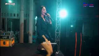 BIGOS MUSIC - NO COMMENT - VIO LAVIO - HAPPY PARTY KONCO LAWAS - TERGO DAWE KUDUS