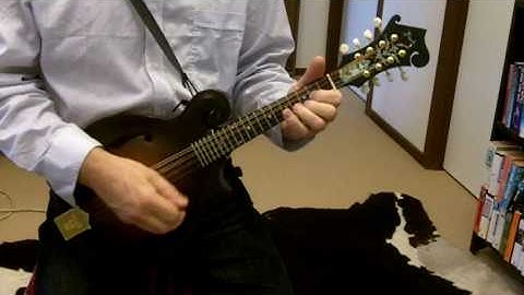 Mandolin with Gerry Hale - Wheel Hoss