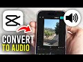 How To Convert Video To Audio In CapCut - Full Guide