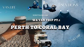 Western Australia Roadtrip! Perth to Coral Bay Vlog | Vanlife | Manta Rays | Sea lions | Nurse Shark