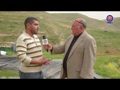 من ارض الواقع الوالة لواء ذيبان