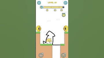 Save the Dog. Level 13