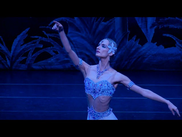 La Bayadere | Irina Kolesnikova and Kimin Kim | 1st act | 01.08.19