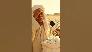 دروس الحياة بتدفع ثمنها من عمرك كاش حكمة النهاردة دروس الحياة الفلاح المصري حكمة من الريف 