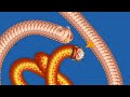worms zone  hack | worm zone io mod apkgod modeWorms zone || 100+million score ||worms zone io mod 