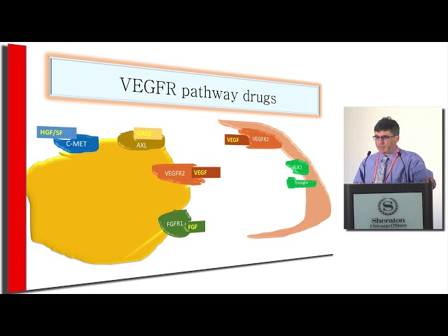 Thumbnail for What novel therapies are on the horizon for metastatic renal cell carcinoma? 2019 and beyond