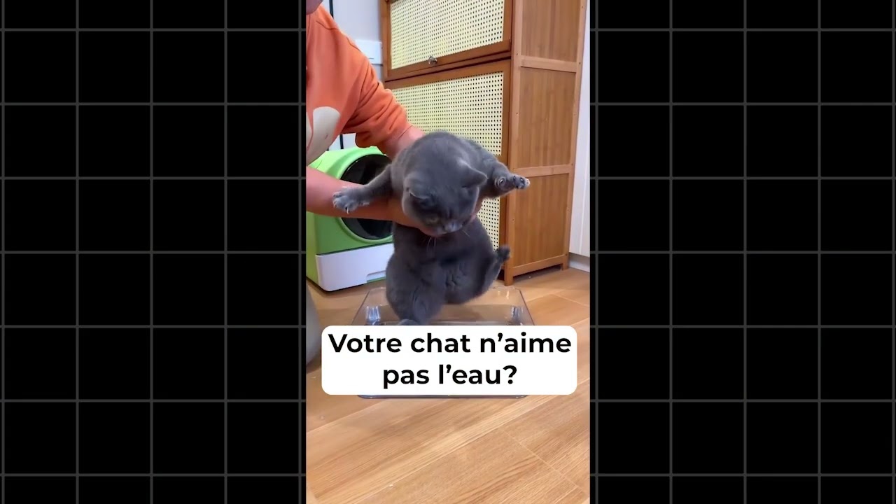 monter vos réels Instagram