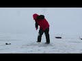 Ловля судака в зимнем костюме Alaskan