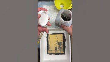 The Platinum Palladium Printing Process BTS