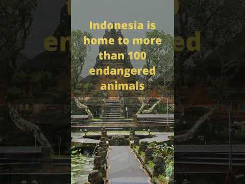 Interesting facts about
