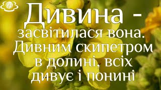 Дивина  засвітилася вона Дивним скипетром в долині, всіх дивує і понині