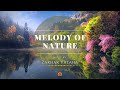 Melody Of Nature mp3
