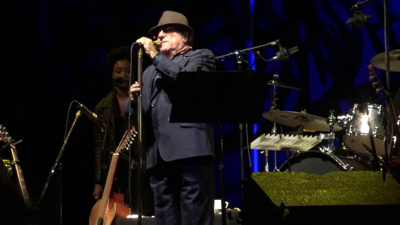 Van Morrison Forest Hills 2016 In The Afternoon In The Garden