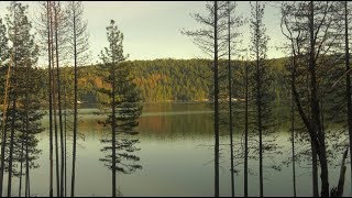 Restoring Our Forests: Managing the Recovery