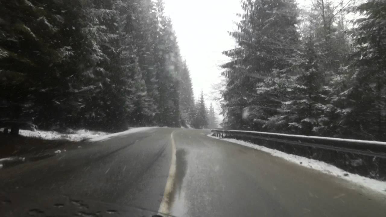 Carmen Prodan - Nu ingadui sa-mi pierd speranta