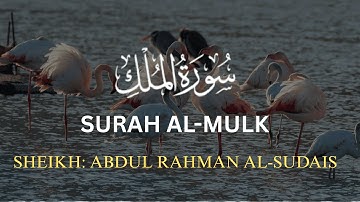 سورة الملك كما لم تسمعها من قبل | تلاوة خاشعة بصوت عبد الرحمن السديس وسط الطبيعة الساحرة