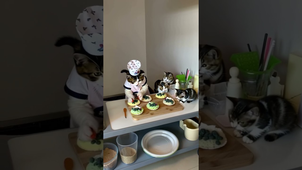 Mommy Cat Serves Her Kids & Cat Waitress Garnishes Dish | Adorable Animal Moments 