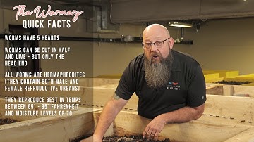 The Wormery Project Tour - How to Make Worm Castings